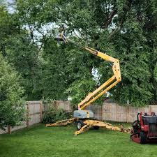 Best Storm Damage Tree Cleanup  in Galveston, TX